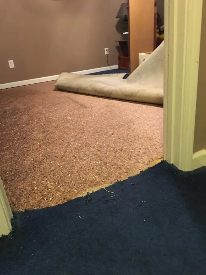 Carpet pad removal revealing water damage during Water Mitigation Services in Linganore
