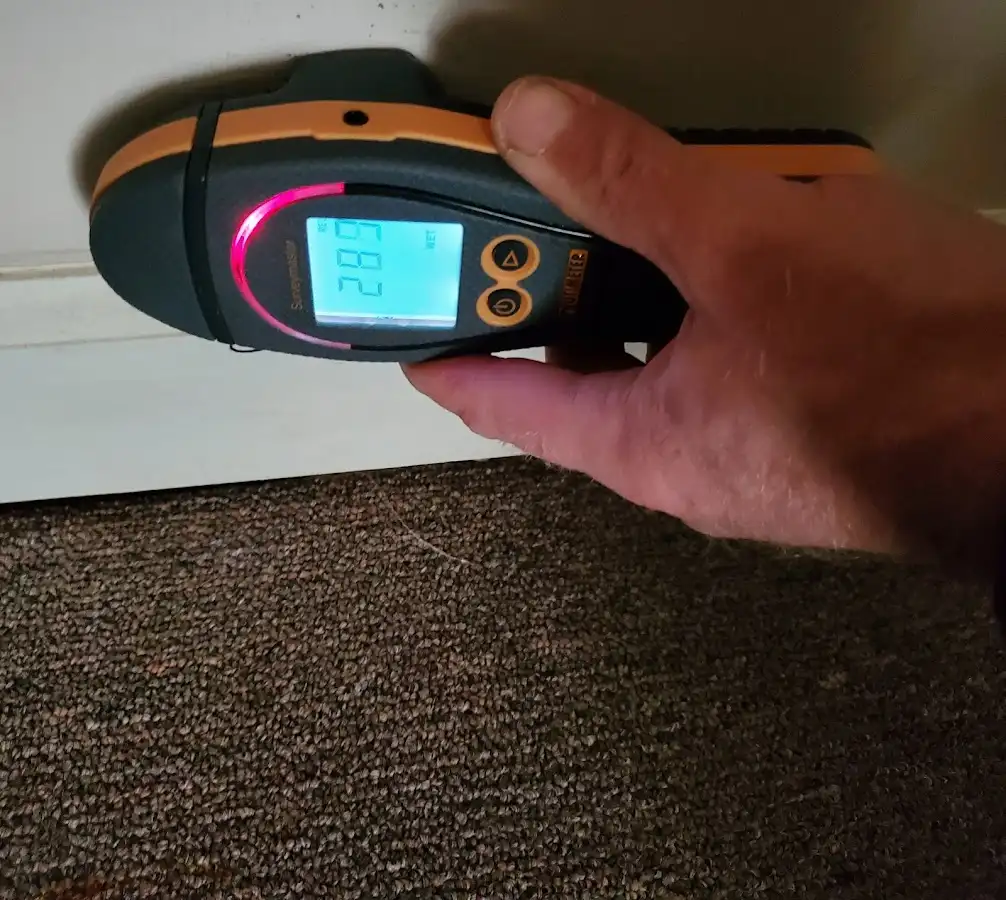 Moisture detection at baseboard during Mold Inspection & Testing in Linganore